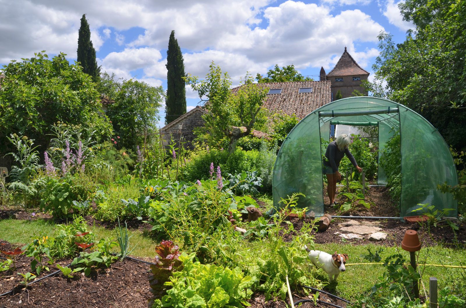 Domaine Les Cyprès - Atelier - jardin - vignes - l'été !