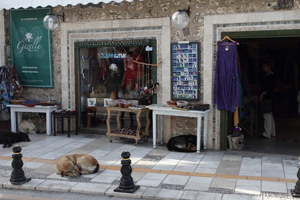 Séjour en Turquie en 05 2014: Bodrum, marché de Turgutreis, Pamukkale (chateau de coton), Hiérapolis, Ephèse. 