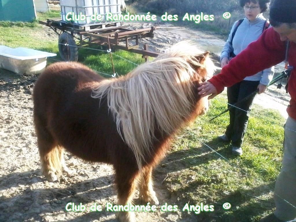 02 MARS : MASMOLENE-LE MONT AIGU (30)