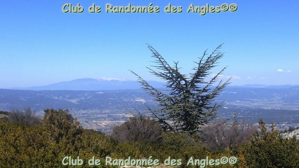 ....................................Le rocher de Baude, Castelas et Fourcats (84).