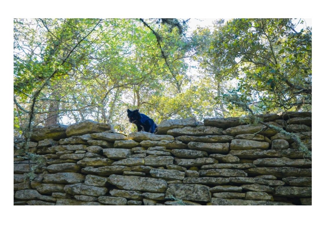 ...........................Gordes-Moulin de la Baume et Bories