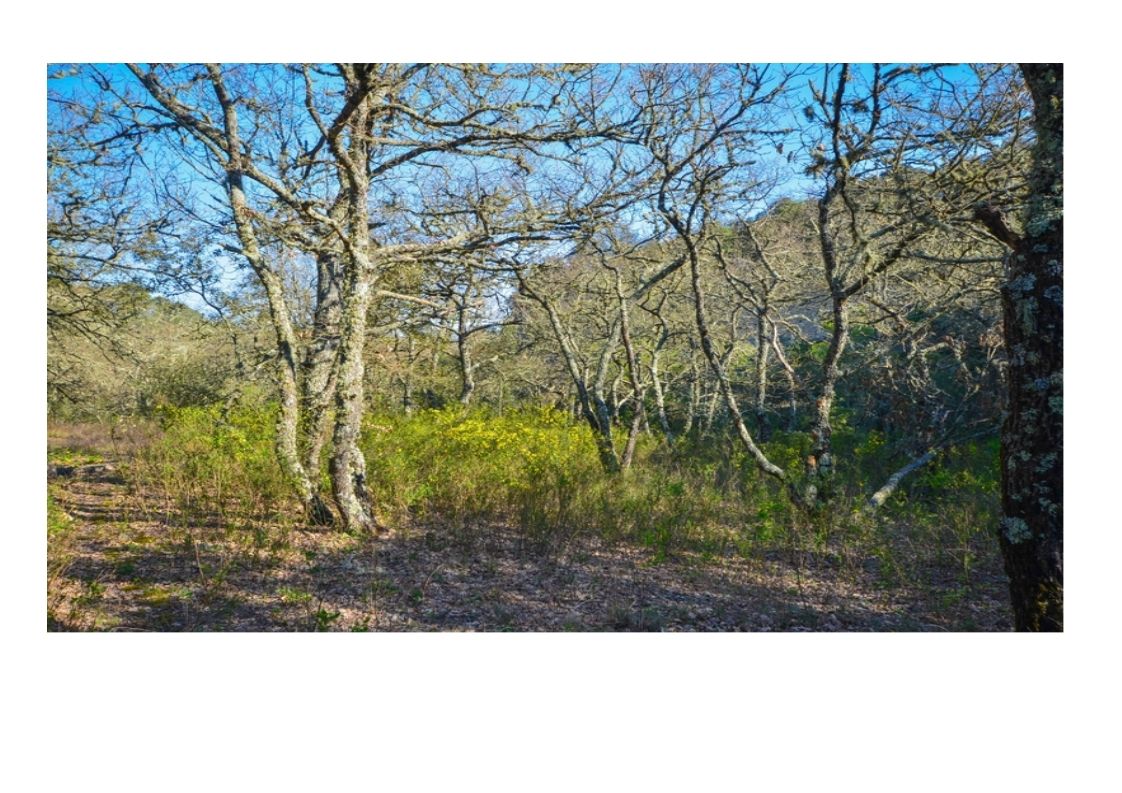 ...........................Gordes-Moulin de la Baume et Bories