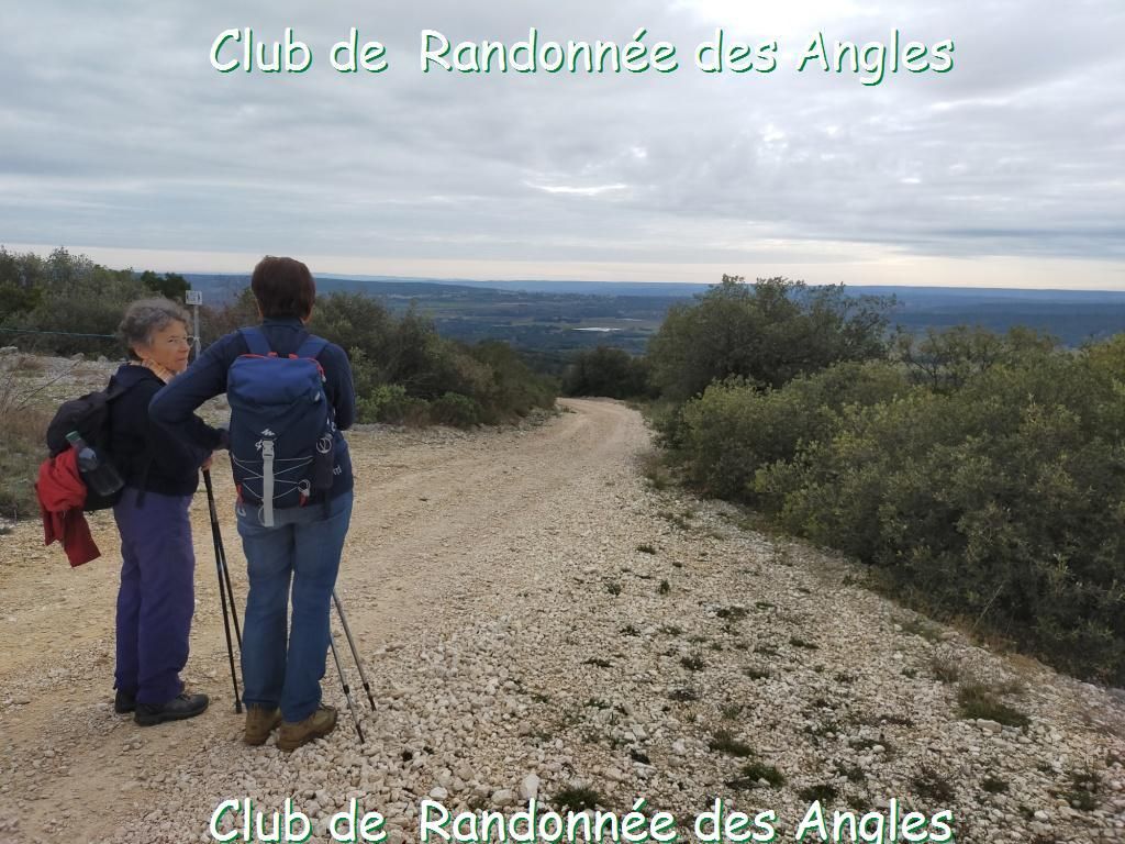 ...........................Belvezet (30)