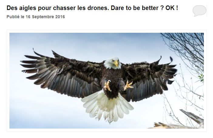 Il y a encore quelques années, seuls les aigles paraissaient être les plus efficaces pour chasser les drones