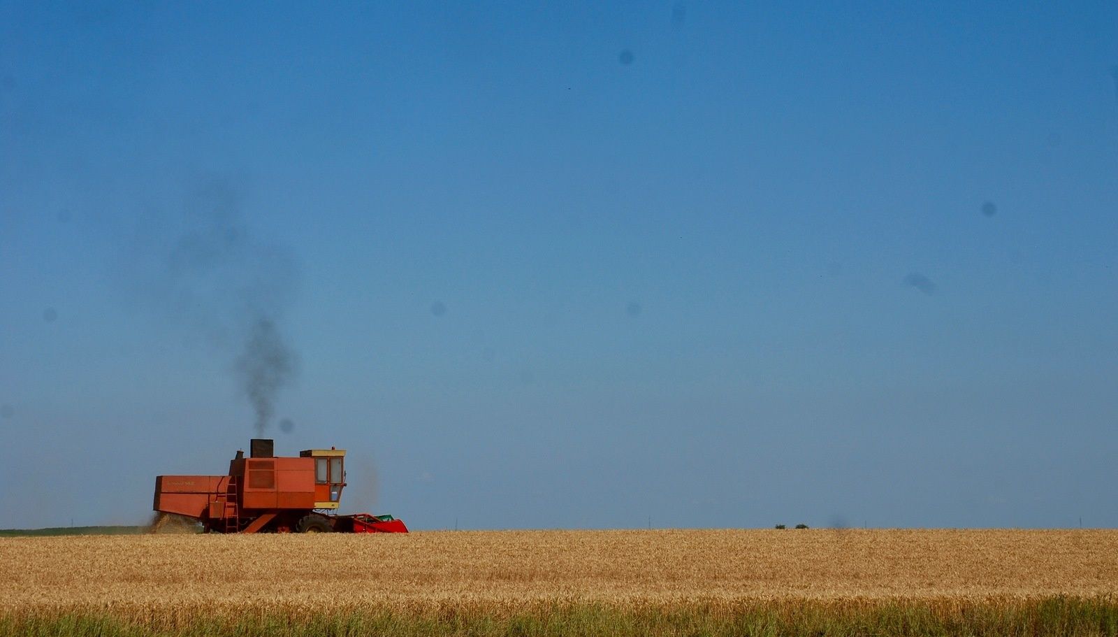 Mon oeil comme guide #1