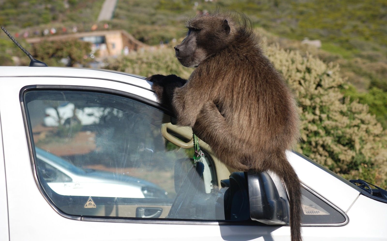 Mon oeil comme guide #1