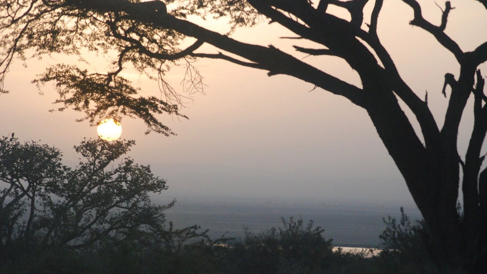 1. là où je suis, à 1° sous l'équateur, soit seulement 150km 2. 6:30 en ce dimanche matin, le soleil se lève encore sur la savane