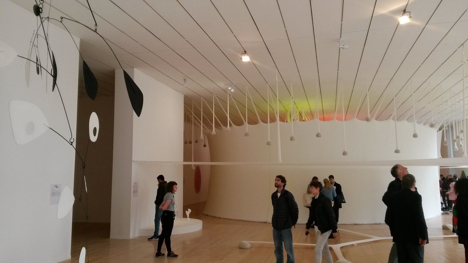 Ernesto Neto (1964), Two Columns for One Bubble Light (2007), Three Stops for an Animal Architecture under Gravity (2007), Minimal Surface of a Body Evolution on a Field (2007). Jean Arp, Feuille se reposant (1959), courtesy Collection Centre Pompidou, Paris, Musée national d'art moderne - Centre de création industielle. Alexander Calder, 31 janvier (1950) courtesy Collection Centre Pompidou, Paris, Musée national d'art moderne © photographie Le Curieux des arts, Gilles Kraemer