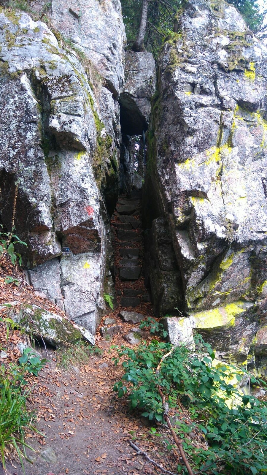 Randonnée le dimanche 16 septembre 2018 vers les rochers du HIRSCHSTEINE et  la tourbière de MISSHEIMLE - L'actualité du club vosgien de Colmar