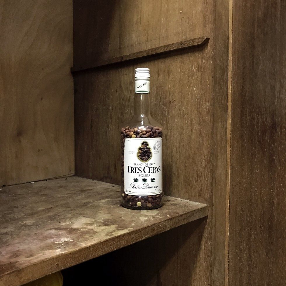 Guinea Ecuatorial y España: Una memoria.