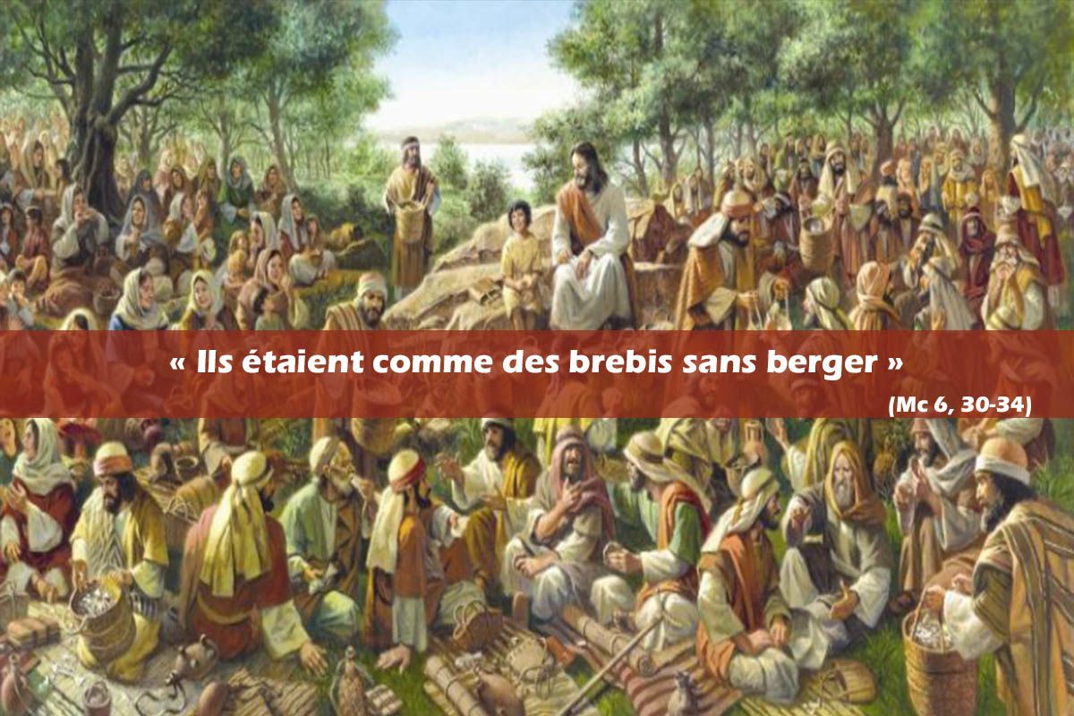Résultat de recherche d'images pour "Il fut saisi de compassion envers eux, parce qu’ils étaient comme des brebis sans berger. Alors, il se mit à les enseigner longuement.""