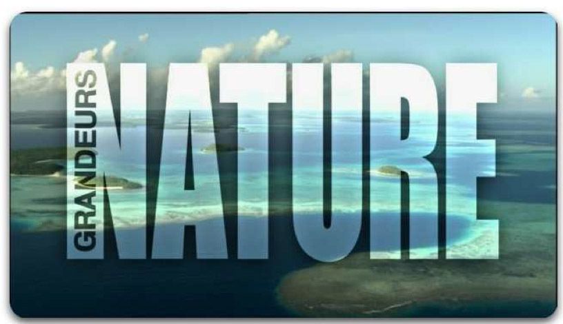 La case Grandeurs Nature revient ce samedi après-midi sur France 2