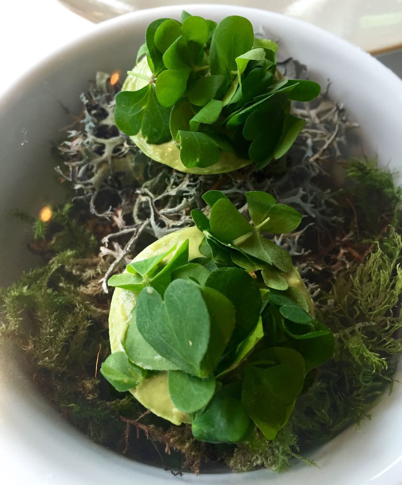 Tartelette avocat et crevettes