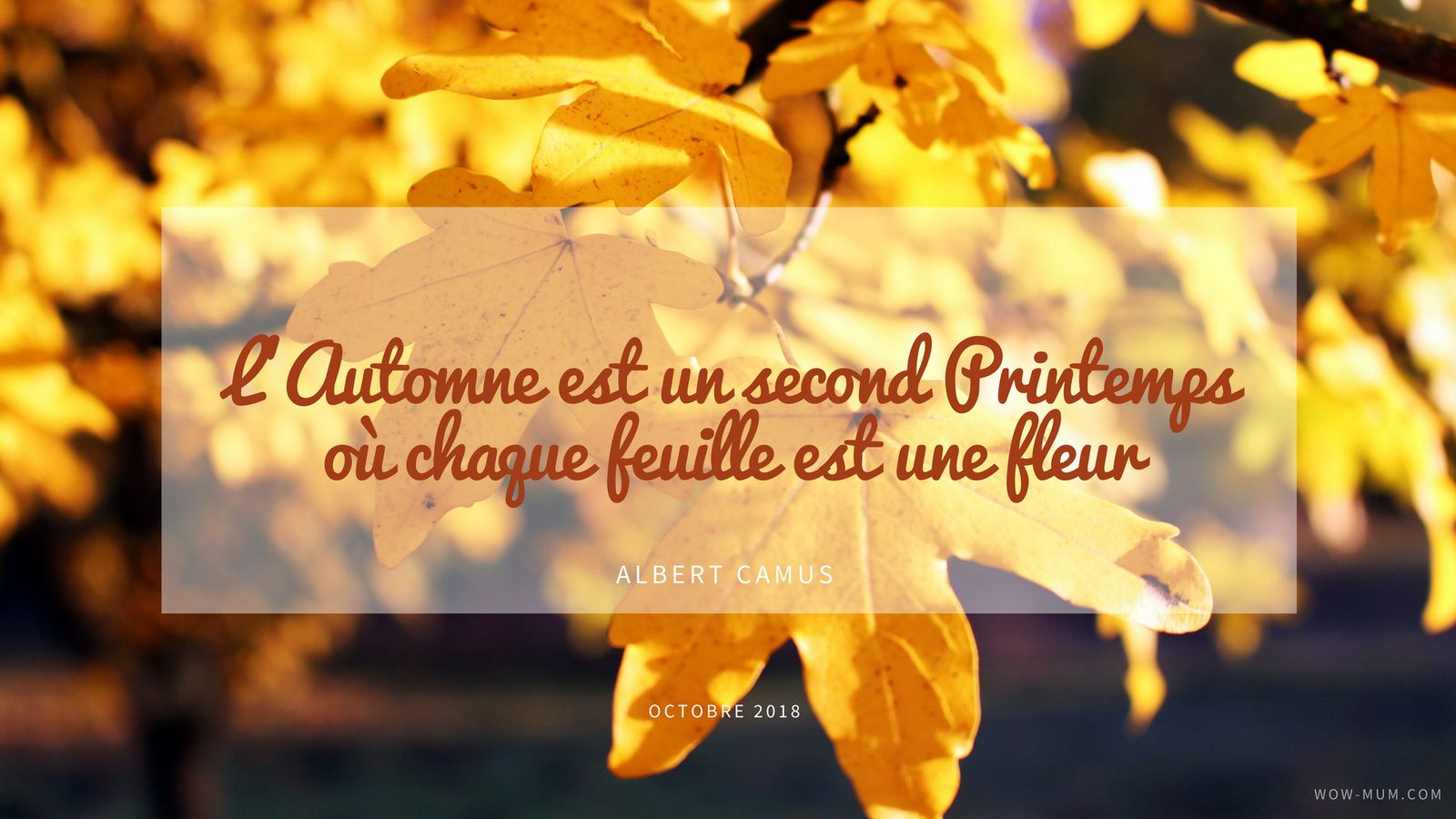 fond d'écran feuilles d'automne 