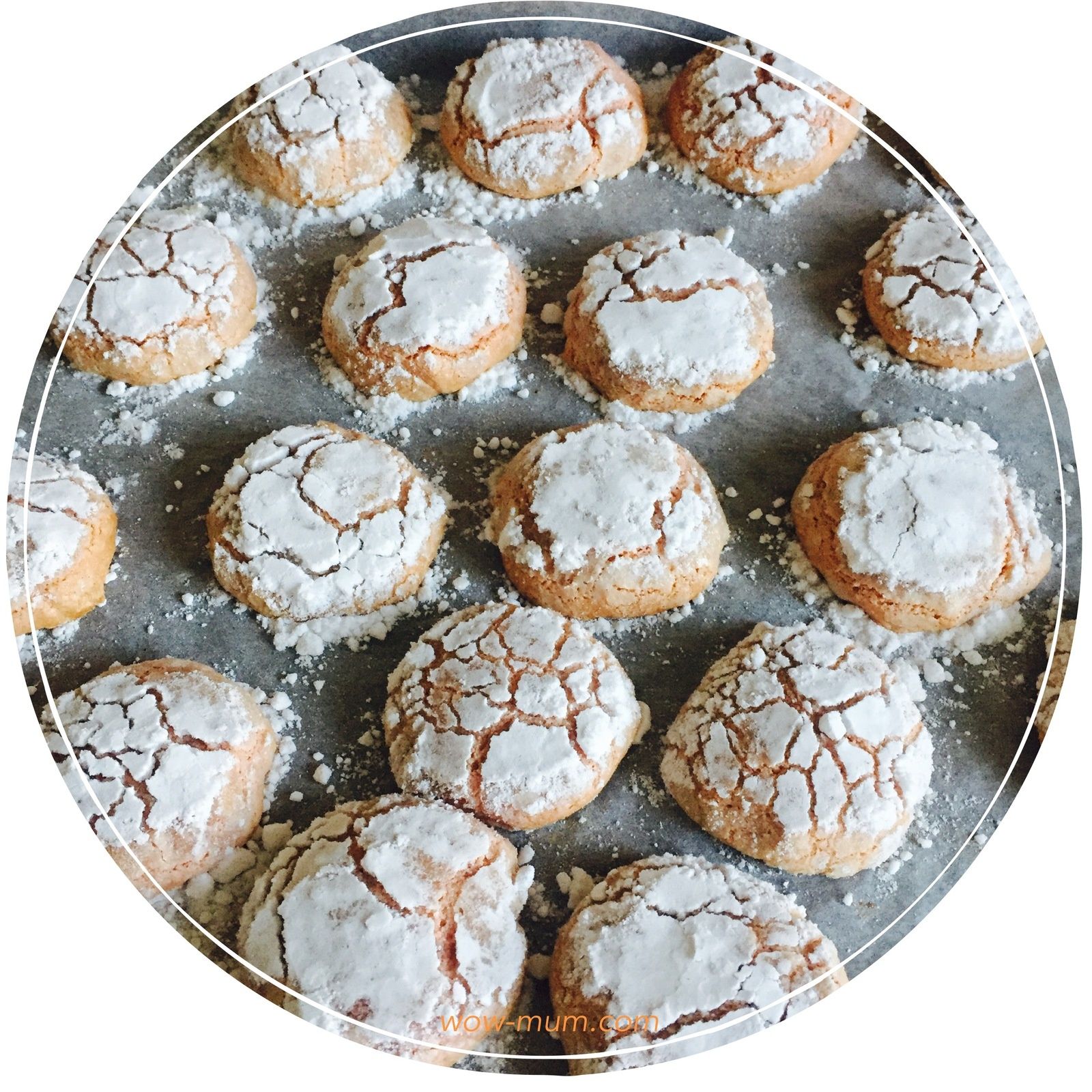 craquelés aux biscuits roses de Reims