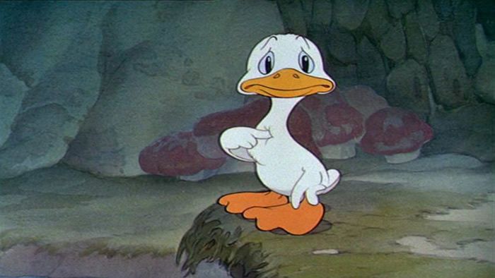 Le Vilain Petit Canard Le Blog De Zebulon S Mummy
