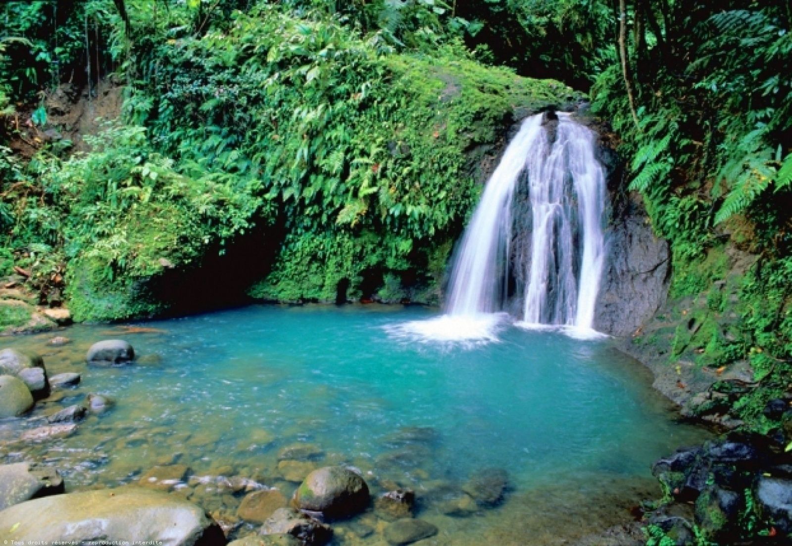 Cascade aux Écrevisses en Guadeloupe