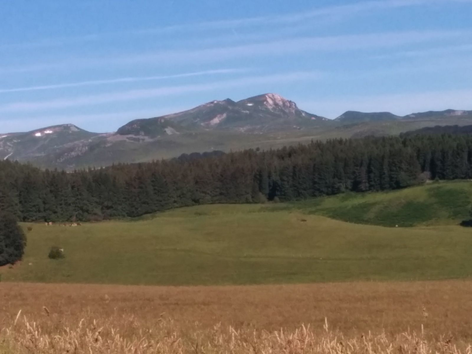 dans le massif du Sancy, été 2016