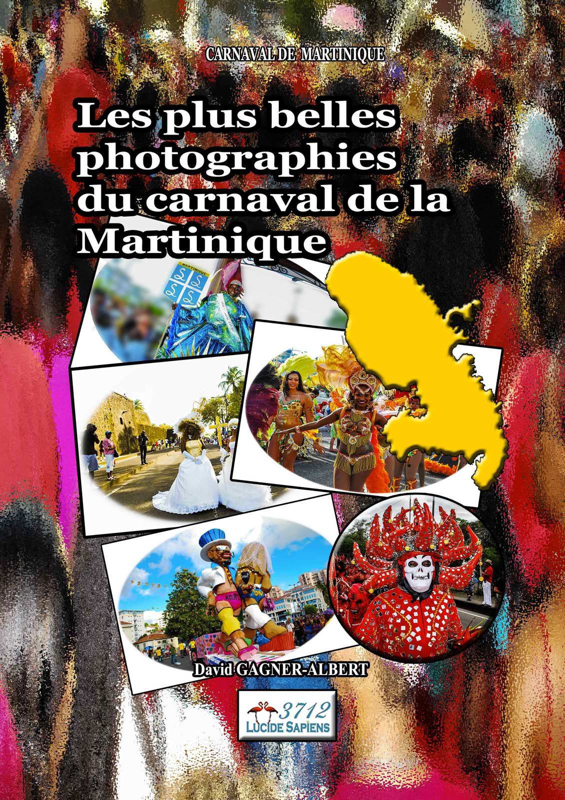 Les plus belles photographies du carnaval de Martinique
