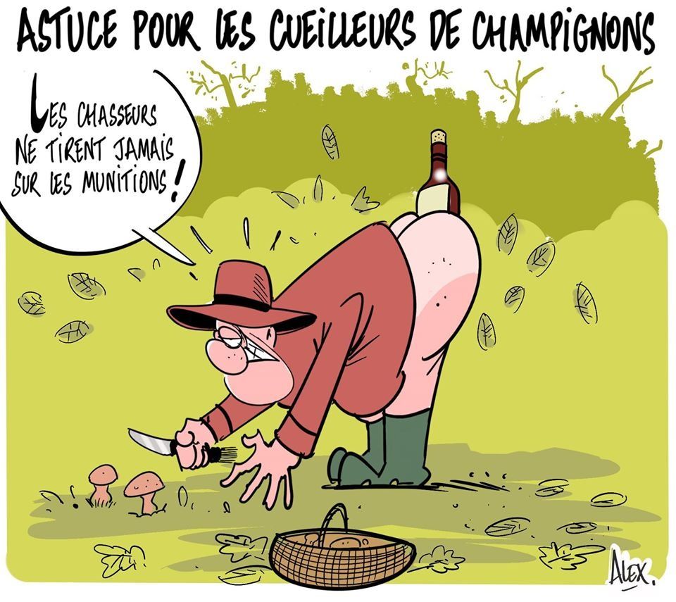 Gratuit Images Humour Grincant Le Dix Vins Blog actualisé salutations