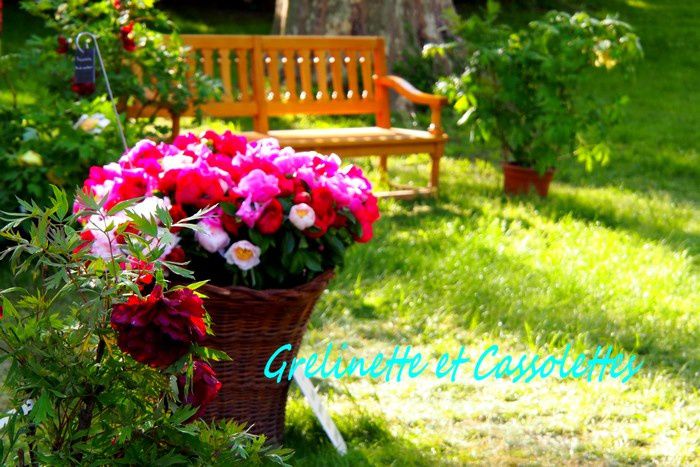 Les Journées des Plantes de Chantilly, Partagez l'Art de Cultiver votre Jardin