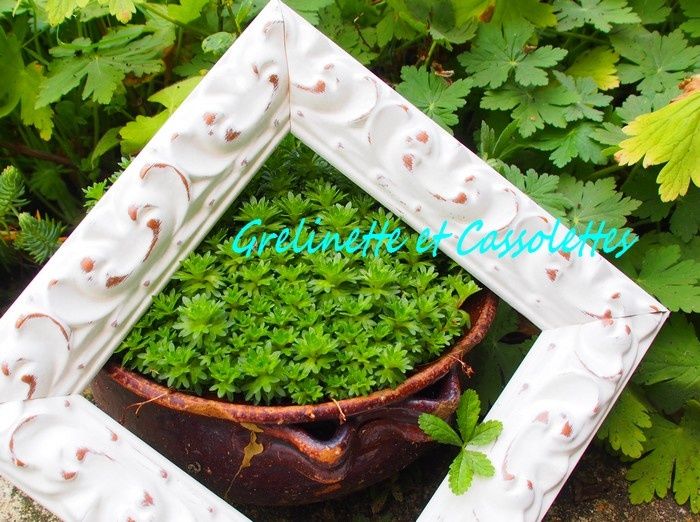 Encadrer c'est Ponctuer