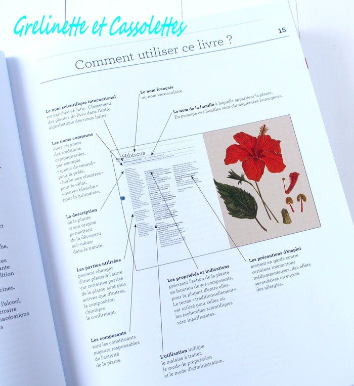 La Bible Des Plantes Qui Soignent Pdf La Bible des Plantes qui Soignent - Grelinette et Cassolettes