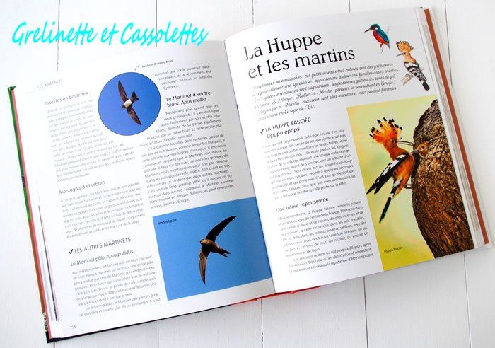 Le Petit Larousse des Oiseaux de France &amp; d'Europe