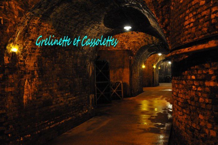 Visite de Caves : Champagne de Castellane, Epernay