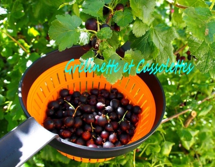 Eloge du Bon Matériel, Fiskars au MOMA, les 50 ans des Anneaux Oranges