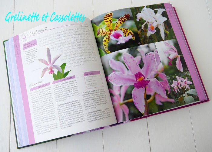 Le Petit Larousse des Orchidées - Grelinette et Cassolettes