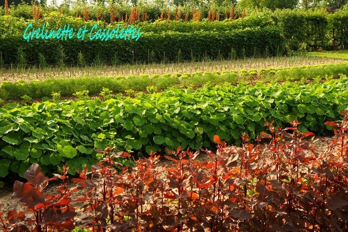 Le Potager de Saint Jean de Beauregard, Fête de la Création Part 3