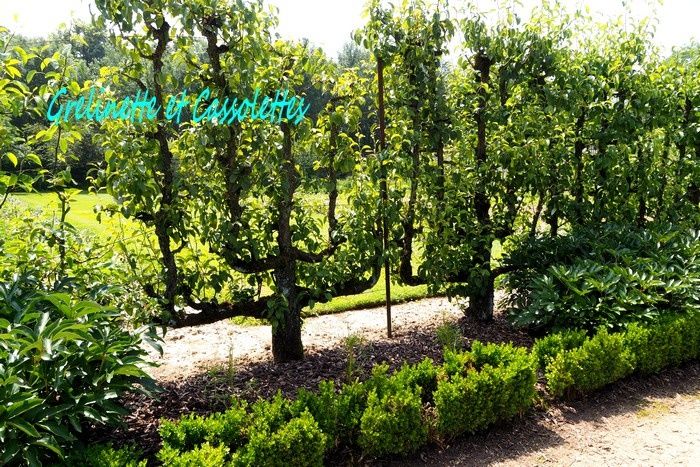 Le Potager de Saint Jean de Beauregard, Fête de la Création Part 3