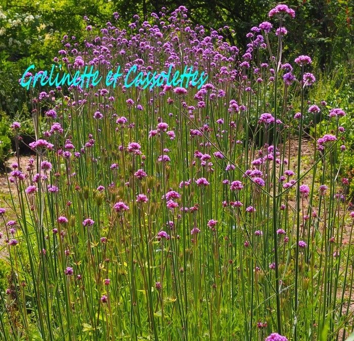 Le potager de Saint Jean de Beauregard, suite...