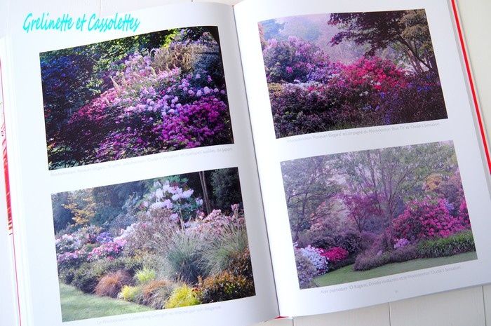 Fleurs Théâtrales au Jardin de Pellinec