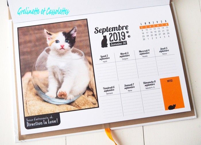 Calendrier 19 Tu Peux Pas Comprendre T Es Pas Un Chat Grelinette Et Cassolettes Calendrier 19 Tu Peux Pas Comprendre T Es Pas Un Chat Grelinette Et Cassolettes
