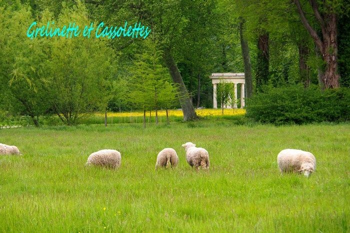 Les Sans Soucis de Chantilly, Journées des Plantes 2019, édition de Printemps