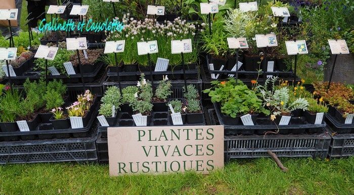 Les Sans Soucis de Chantilly, Journées des Plantes 2019, édition de Printemps