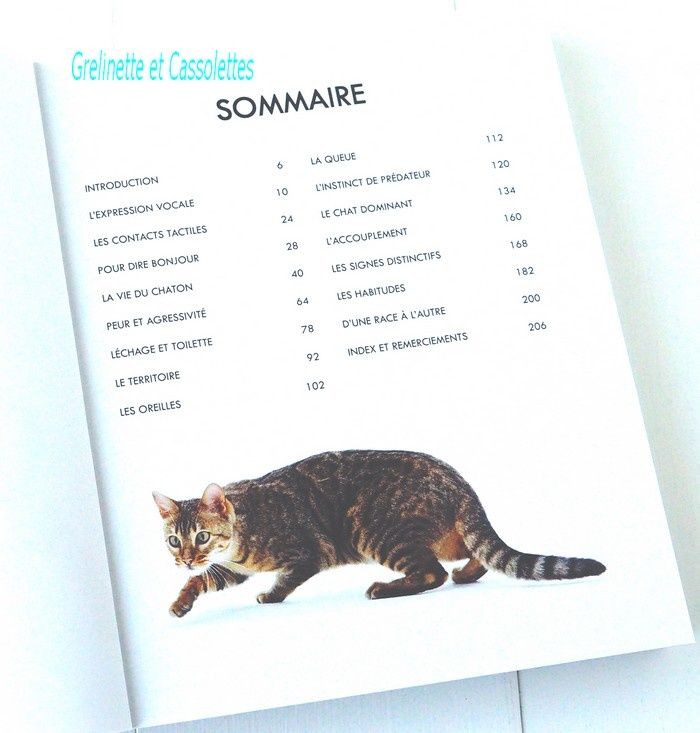 Comprendre Son Chat 100 Attitudes Et Petites Manies Decodees Grelinette Et Cassolettes