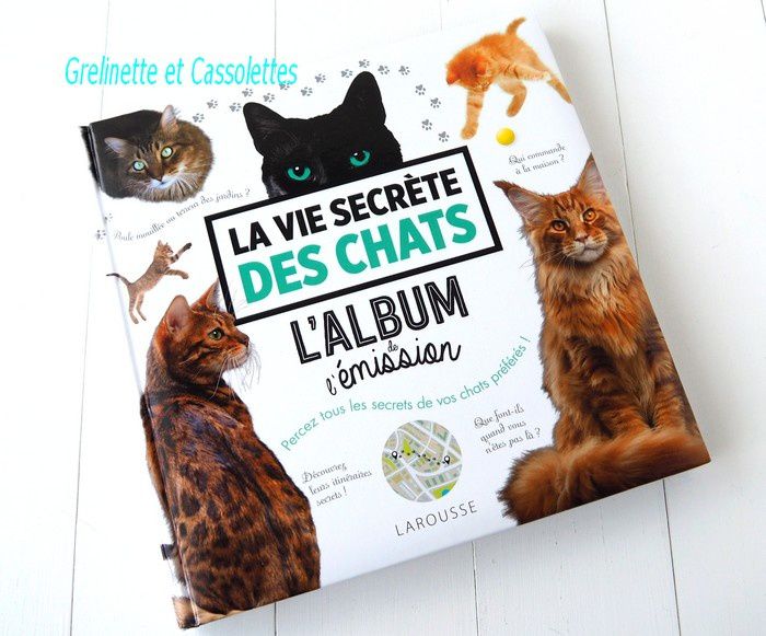 La Vie Secrete Des Chats Grelinette Et Cassolettes