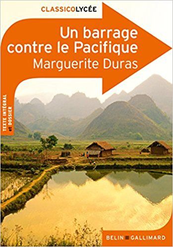 EAF du Bac 2017, séries S et ES, explication d'un extrait de Barrage contre le Pacifique de Marguerite Duras (travail préparatoire)