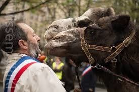 chronique d'éternation a taradeau suite 1