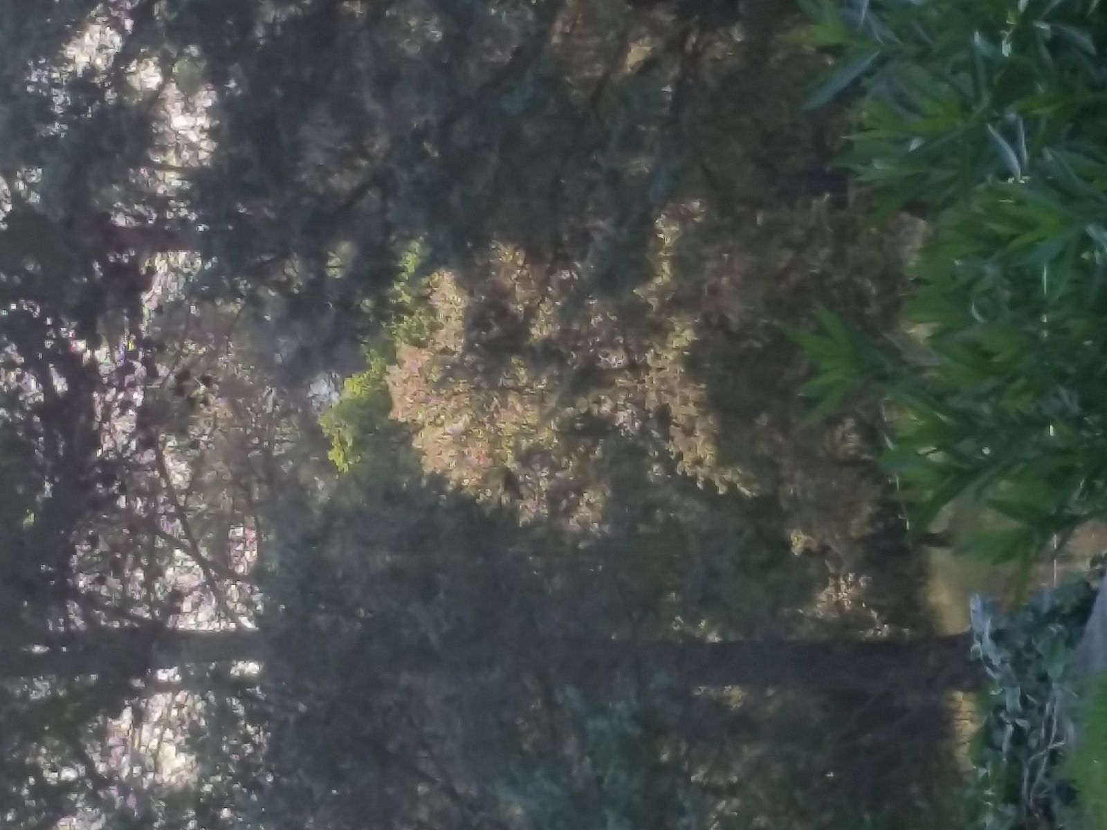 chroniques d'eternation a taradeau suite 4