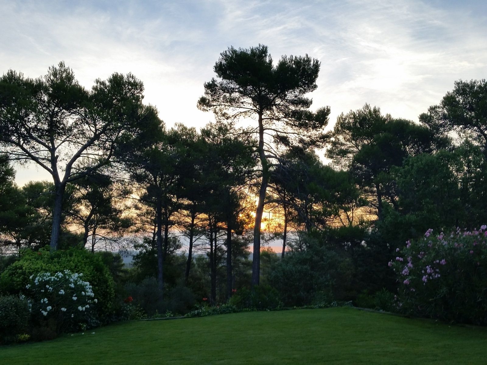 chroniques d'eternation a taradeau suite 4