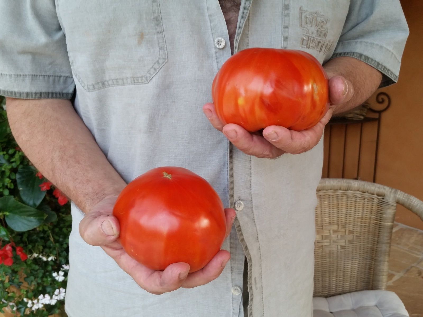 chroniques d'eternation a taradeau suite 4