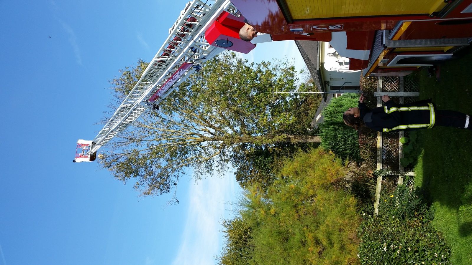 après la grippe ,les frelons asiatiques,gestion dard dard !