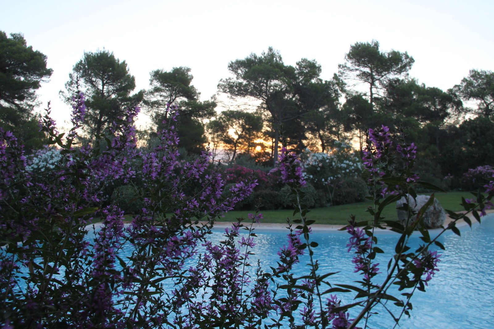 ce blog fête ses neuf ans !