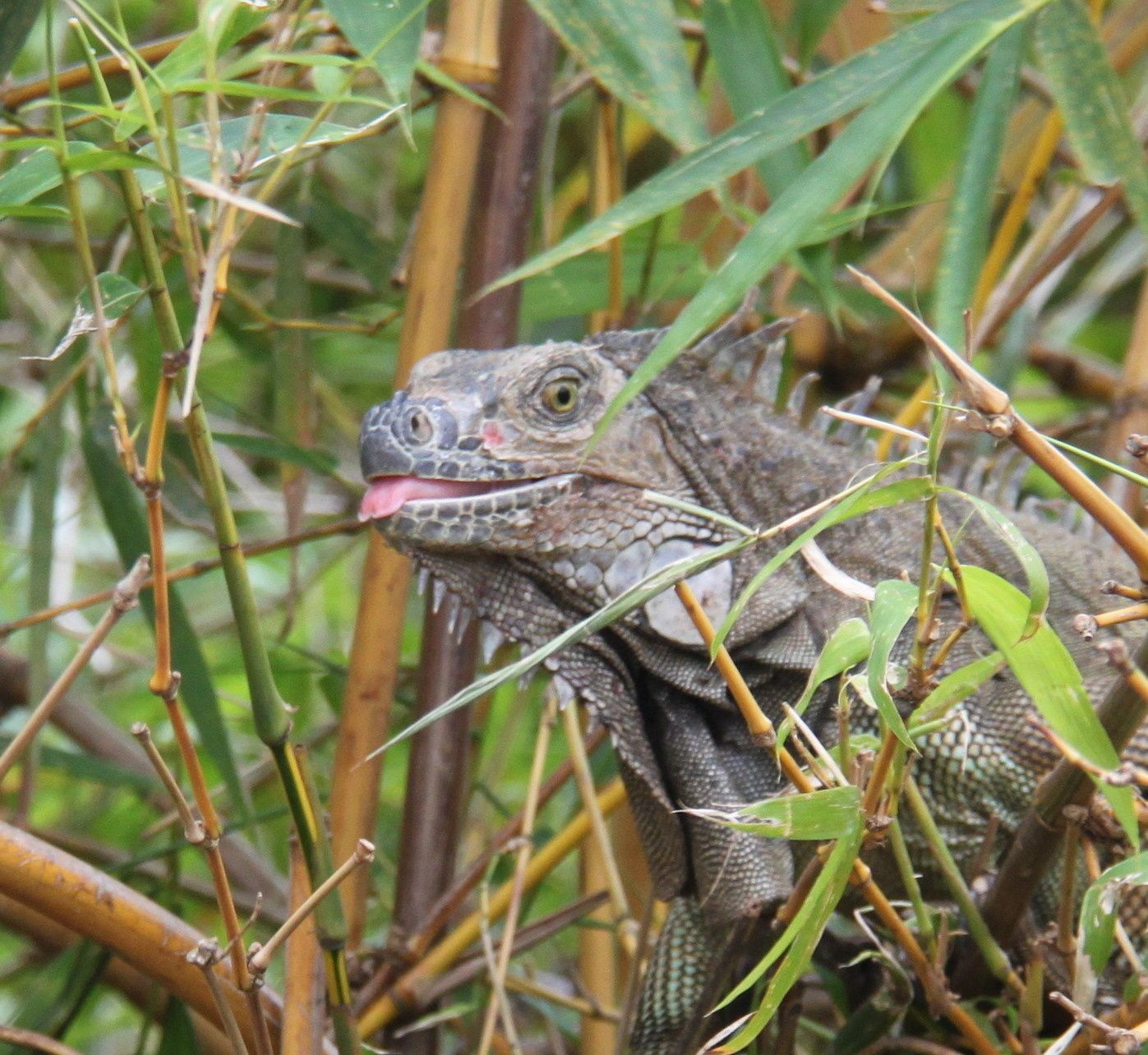 ce blog fête ses neuf ans !