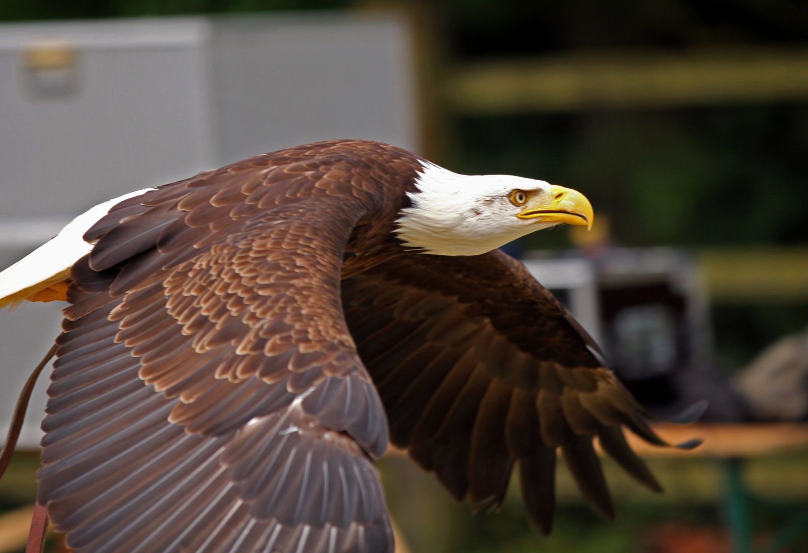 ce blog fête ses neuf ans !