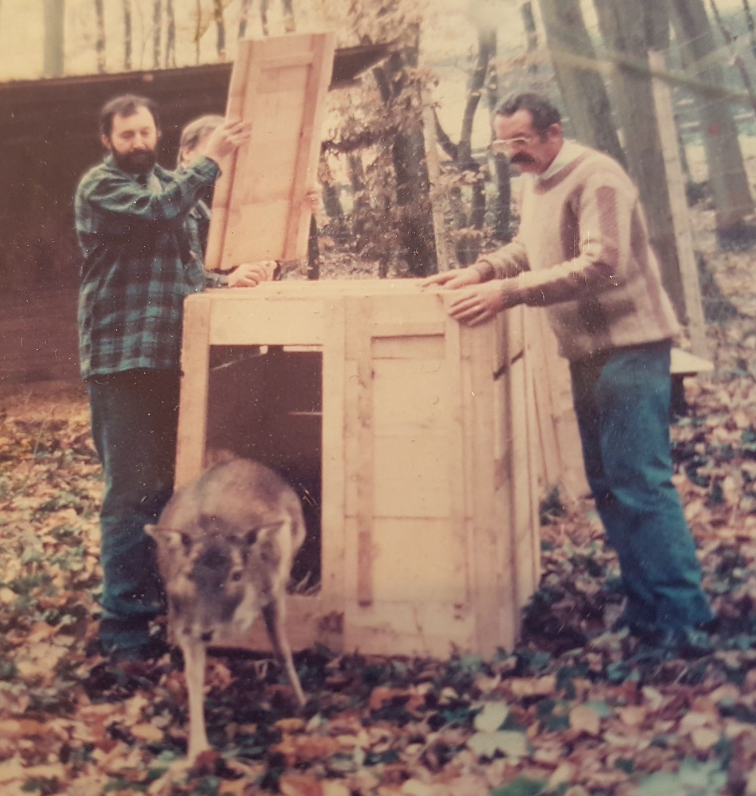 ce blog fête ses neuf ans !